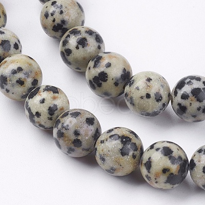 Natural Dalmatian Jasper Stone Bead Strands X-G-R193-14-8mm-1