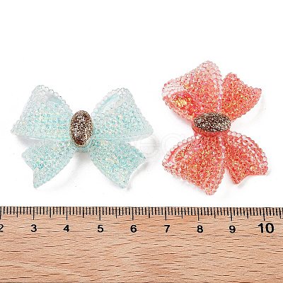 Transparent Resin Decoden Cabochons RESI-M045-02-1