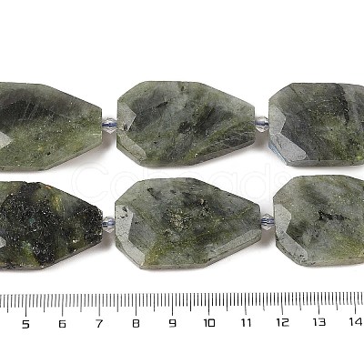 Natural Labradorite Beads Strands G-P548-B14-01-1