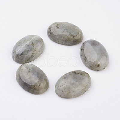 Natural Labradorite Flat Back Cabochons X-G-G741-13x18mm-18-1