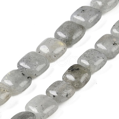 Natural Labradorite Beads Strands G-M435-A11-01-1