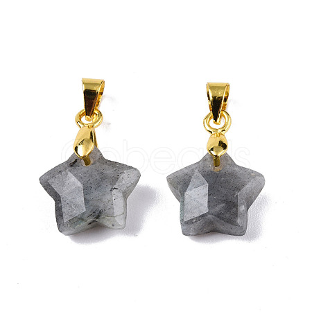 Natural Labradorite Charms G-N326-142-06-1