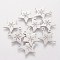 Non-Tarnish 201 Stainless Steel Charms, Star with Snowflake Pattern, Stainless Steel Color, 15x14x1.1mm