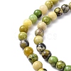 Natural Serpentine Beads Strands G-N166-4-3
