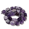 Natural Amethyst Beads Strands G-Z043-A04-01-3