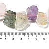 Natural Amethyst & Quartz Crystal & Rose Quartz & Prehnite & Citrine Beads Strands G-P528-K02-01-4