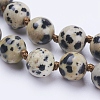 Natural Dalmatian Jasper Beaded Necklaces X-NJEW-P202-36-A33-2