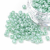 12/0 Glass Seed Beads SEED-US0003-2mm-154-1