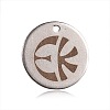 Spray Painted Stainless Steel Charms STAS-F092-06P-1