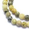Natural Yellow Turquoise(Jasper) Beads Strands G-K310-A01-6mm-3