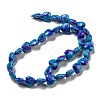 Spray Painted Synthetic Turquoise Beads Strands G-E617-B08-03-3