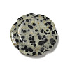 Natural Dalmatian Jasper Worry Stones G-E586-01S-3
