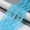 Transparent Glass Beads Strands EGLA-A044-T2mm-MB08-2