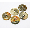 Donut/Pi Disc Natural Gemstone Pendants G-L234-40mm-06-1