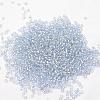 8/0 Transparent Glass Round Seed Beads X-SEED-J010-F8-32-2