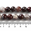 Natural Mexican Red Laguna Lace Agate Round Beads Strands G-NH0005-A31-02-5