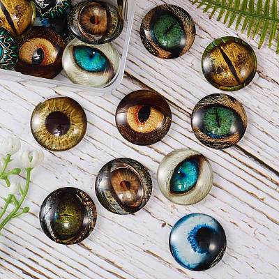 Glass Cabochons GLAA-SZ0001-02-1