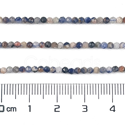 Natural Sodalite Beads Strands G-A097-A12-01-1