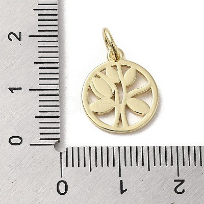 Brass Enamel Charms KK-E092-15G-01-1