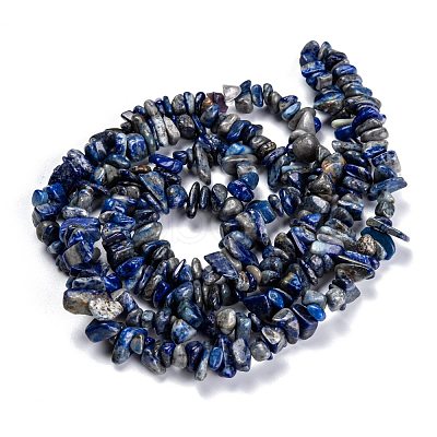 Natural Lapis Lazuli Beads Strands G-G011-05B-1