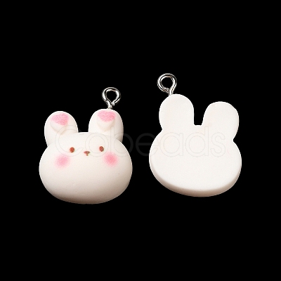 Cartoon Opaque Resin Pendants RESI-R440-02-1