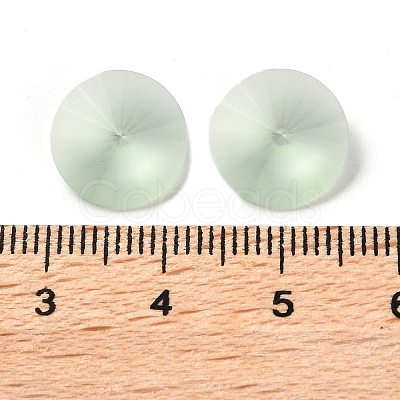 Frosted Glass Rhinestone Cabochons RGLA-G022-01B-238-1