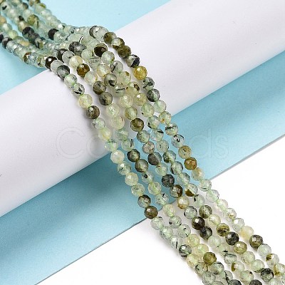 Natural Prehnite Beads Strands G-C009-A20-1