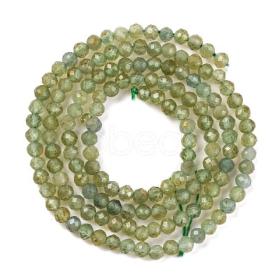 Natural Green Apatite Beads Strands G-F770-C03-02-1