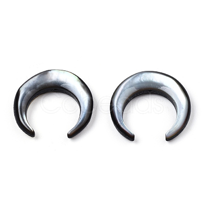 Natural Black Lip Shell Beads SSHEL-N034-122A-02-1