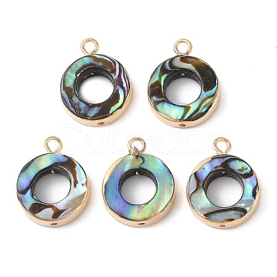 Natural Paua Shell Pendants SHEL-P017-18G-1