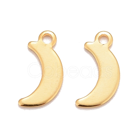 201 Stainless Steel Charms STAS-K217-09G-1