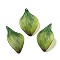 Plastic Pendants, Leaf Charms, Yellow Green, 40x26x1mm, Hole: 1.4mm