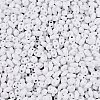 Baking Paint Glass Seed Beads SEED-T006-03A-2