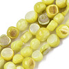 Natural Freshwater Shell Beads Strands SHEL-S276-110B-M-2