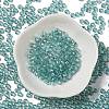 Glass Seed Beads SEED-H002-C-A049-2
