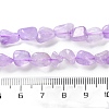 Natural Amethyst(Dyed & Heated) Beads Strands G-P497-01C-44-5