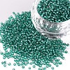 11/0 Grade A Transparent Glass Seed Beads X-SEED-Q007-F50-1