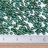 MIYUKI Round Rocailles Beads X-SEED-G007-RR0289-2