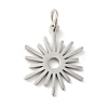 Non-Tarnish 201 Stainless Steel Pendants STAS-E015-01P-1