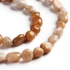 Natural Fossil Coral Beads Strands G-D0002-B36-3