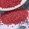 MIYUKI Delica Beads Small SEED-X0054-DBS0856-1