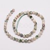 Natural Tree Agate Bead Strands X-G-G882-6mm-E02-2