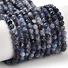 Natural Sodalite Beads Strands G-B107-A03-05-2