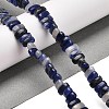 Natural Sodalite Beads Strands G-Q167-B06-01-2