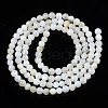 Natural Freshwater Shell Beads Strands X-BSHE-T009A-01A-3