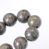 Natural Black Wood Lace Stone Round Bead Strands X-G-E334-10mm-03-4