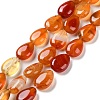 Natural Red Agate Beads Strands G-K357-A09-01-1