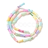 Rainbow Color Dyed Natural Freshwater Shell Beads Strands SHEL-G018-02C-2