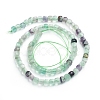 Natural Fluorite Beads Strands G-E560-A12-4mm-2