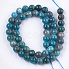 Natural Apatite Beads Strands X-G-S333-8mm-031-2